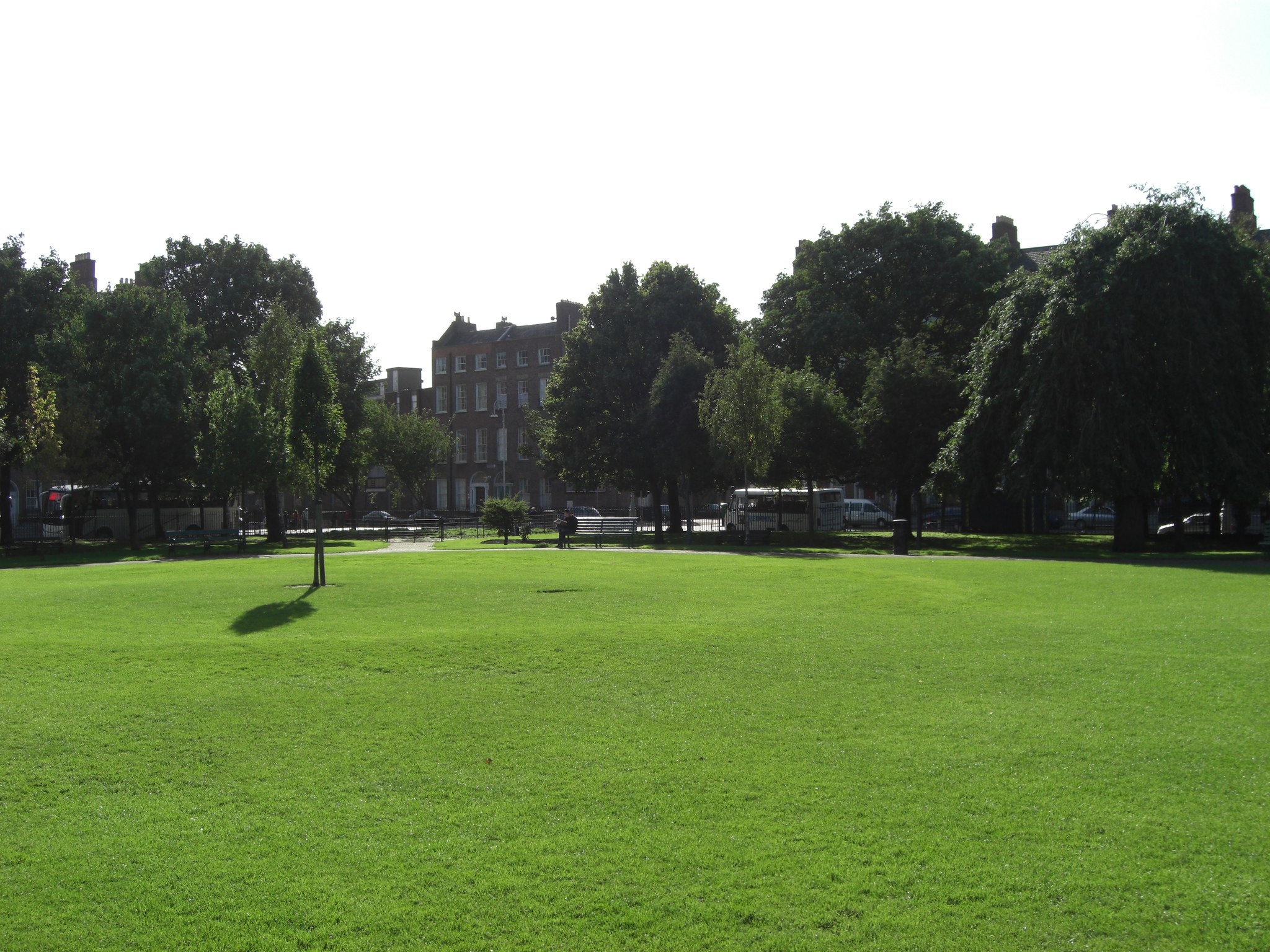 The lawn of Mountjoy Square park with Georgian houses behind the trees, Dublin