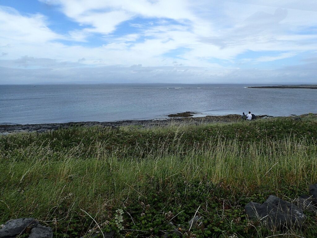 The coast of Inis M&oacute;r, Aran Islands