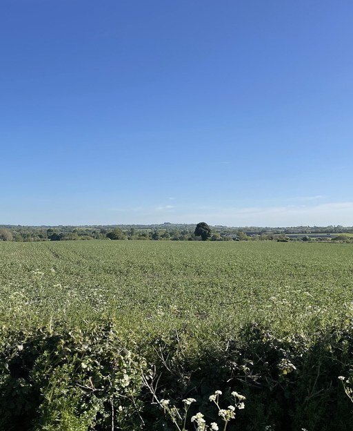 Cleared green farmland and hedgerow under a blue sky in County Meath