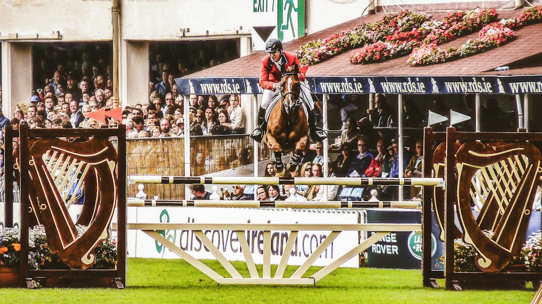 The Irish National Stud Was Built on Astrology — and It Produced a Derby Winner