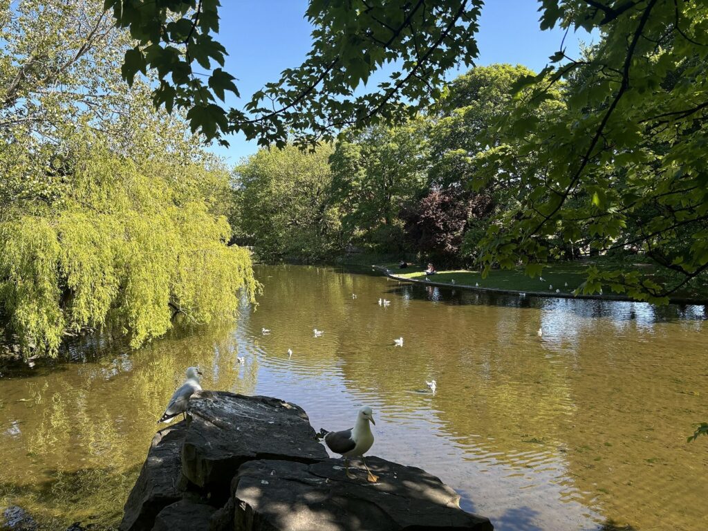 The lake in St Stephen's Green, Dublin